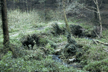 Lizwell Packhorse Bridge in 2000