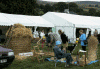 rural_skills.gif (149858 bytes)