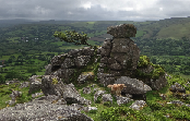 Widecombe and Chinkwell Rocks