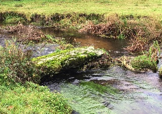 The Clapper Bridge over the East Webburn