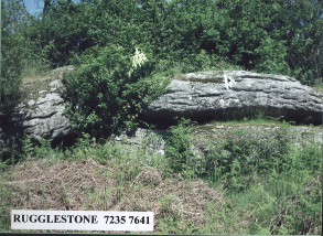 Rugglestone Loganstone
